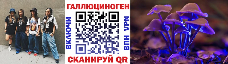 цена   Заводоуковск  Псилоцибиновые грибы GOLDEN TEACHER 