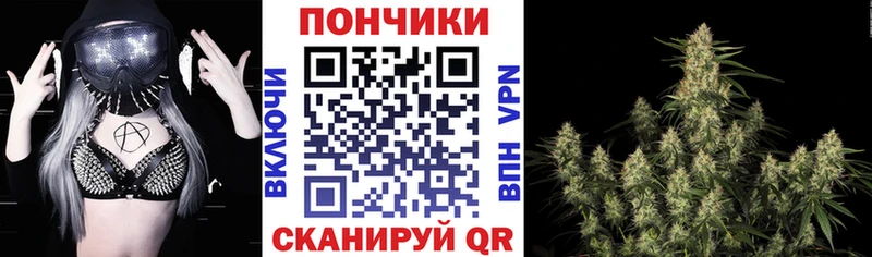 Шишки марихуана SATIVA & INDICA Заводоуковск